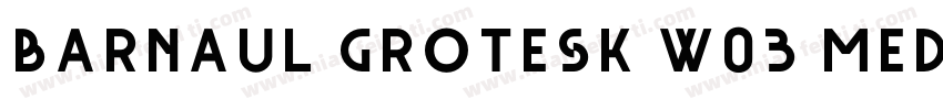 Barnaul Grotesk W03 Medium字体转换